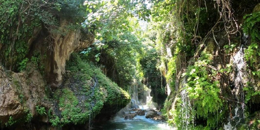 Yaz gelirken burayı planlarınıza mutlaka dahil edin! Giden kendini Amazon’da sansa da burası Türkiye: Adeta göz kamaştırıyor 4